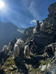 Haute Route Chamonix Zermatt